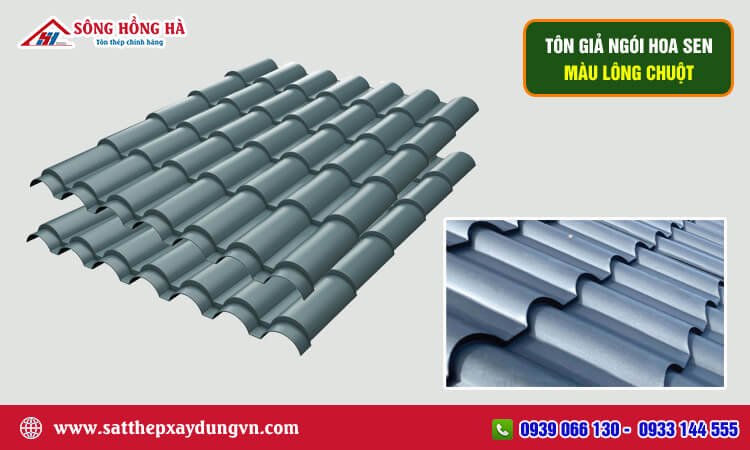 Tôn giả ngói Hoa Sen màu lông chuột